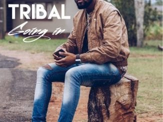 Tribal – Going In, Tribal, Going In, mp3, download, mp3 download, cdq, 320kbps, audiomack, dopefile, datafilehost, toxicwap, fakaza, mp3goo