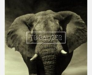 EP: Tribalizer – Ritual, EP, Tribalizer, Ritual, download, cdq, 320kbps, audiomack, dopefile, datafilehost, toxicwap, fakaza, mp3goo ,zip, alac, zippy, album, mp3