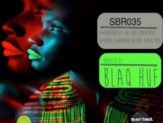 Blaq Huf – Ordained by The Gods (Main Mix), Blaq Huf, Ordained by The Gods (Main Mix), mp3, download, mp3 download, cdq, 320kbps, audiomack, dopefile, datafilehost, toxicwap, fakaza, mp3goo