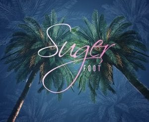 DJ Ace – Sugar Foot, DJ Ace, Sugar Foot, mp3, download, mp3 download, cdq, 320kbps, audiomack, dopefile, datafilehost, toxicwap, fakaza, mp3goo