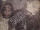 A-Reece, Ecco, Wordz, Dark Daze, mp3, download, datafilehost, fakaza, Afro House 2018, Afro House Mix, Deep House, DJ Mix, Deep House, Afro House Music, House Music, Gqom Beats