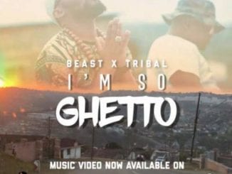 Beast, I’m So Ghetto, Tribal, mp3, download, datafilehost, fakaza, Afro House 2018, Afro House Mix, Deep House, DJ Mix, Deep House, Afro House Music, House Music, Gqom Beats