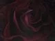 Chris Brown, Him Or Me, mp3, download, datafilehost, toxicwap, fakaza