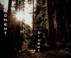 Cyberkiing, Moment Of Silence, mp3, download, datafilehost, fakaza, Afro House 2018, Afro House Mix, Deep House, DJ Mix, Deep House, Afro House Music, House Music, Gqom Beats