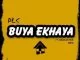 DLS, Buya ekhaya, Nkululeko Nzo, mp3, download, datafilehost, fakaza, Afro House 2018, Afro House Mix, Deep House Mix, DJ Mix, Deep House, Afro House Music, House Music, Gqom Beats, Gqom Songs