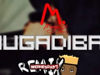 Diz Live, Shugadibang Remix, mp3, download, datafilehost, fakaza, Afro House 2018, Afro House Mix, Deep House Mix, DJ Mix, Deep House, Afro House Music, House Music, Gqom Beats, Gqom Songs