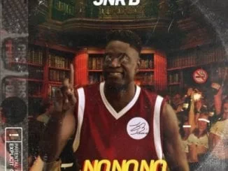 Jnr B, No No No, Efelow, Golden Black, Yanga Chief, Gemini Major, mp3, download, datafilehost, fakaza, Afro House 2018, Afro House Mix, Deep House, DJ Mix, Deep House, Afro House Music, House Music, Gqom Beats