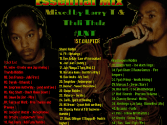 MIXTAPE, Mzansi Reggae Essential Mix, LNT Sound, Mzansi Reggae, Mzansi, Reggae, download ,zip, mixtapes, fakaza, datafilehost, zippyshare