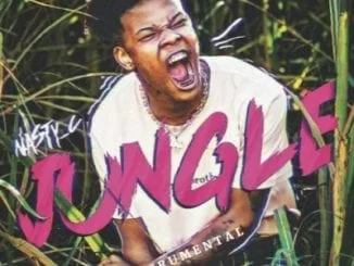 Nasty C, Jungle Lyrics, Jungle, Lyrics, mp3, download, datafilehost, toxicwap, fakaza