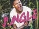 Nasty C, Jungle Lyrics, Jungle, Lyrics, mp3, download, datafilehost, toxicwap, fakaza