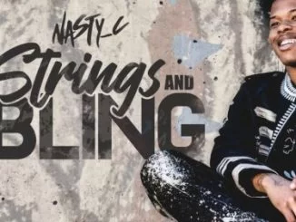 Nasty C, Strings And Bling, Full Album, Tracklist, Cover, download ,zip, zippyshare, fakaza, EP, datafilehost, album