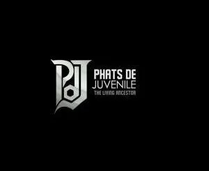Phats De Juvenile, You Should Know (Remix) , mp3, download, datafilehost, fakaza, Afro House 2018, Afro House Mix, Deep House Mix, DJ Mix, Deep House, Afro House Music, House Music, Gqom Beats, Gqom Songs