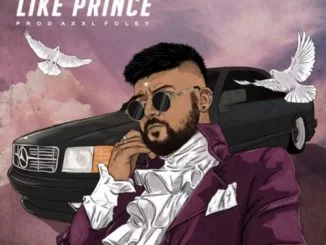 Sheen Skaiz, Like Prince, mp3, download, datafilehost, fakaza, Afro House 2018, Afro House Mix, Deep House Mix, DJ Mix, Deep House, Afro House Music, House Music, Gqom Beats, Gqom Songs