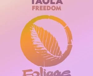 Taola, Freedom (Manoo Remix), mp3, download, datafilehost, fakaza, Afro House 2018, Afro House Mix, Deep House Mix, DJ Mix, Deep House, Afro House Music, House Music, Gqom Beats