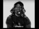 VIDEO,The Big Hash, Dark Horse ,Riky Rick, mp3, download, datafilehost, toxicwap, fakaza