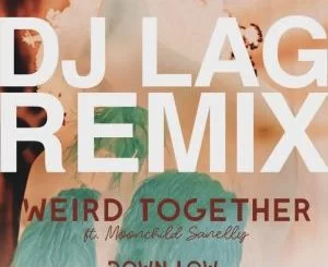 Weird Together, Down Low, DJ Lag Remix Extended, Moonchild Sanelly, mp3, download, datafilehost, fakaza, Afro House 2018, Afro House Mix, Deep House Mix, DJ Mix, Deep House, Afro House Music, House Music, Gqom Beats