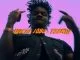 Wichi 1080, TSEK!!!, mp3, download, datafilehost, toxicwap, fakaza