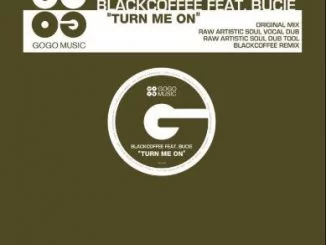 Black Coffee, Turn Me On, Bucie, mp3, download, datafilehost, fakaza, Afro House 2018, Afro House Mix, Deep House, DJ Mix, Deep House, Afro House Music, House Music, Gqom Beats