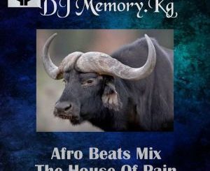 DJ Memory.Kg, Afro Beats Mix (The House Of Pain), mp3, download, datafilehost, fakaza, Afro House 2018, Afro House Mix, Deep House Mix, DJ Mix, Deep House, Afro House Music, House Music, Gqom Beats, Gqom Songs