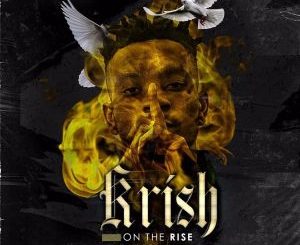 Krish, On The Rise, mp3, download, datafilehost, fakaza, Afro House 2018, Afro House Mix, Deep House Mix, DJ Mix, Deep House, Afro House Music, House Music, Gqom Beats, Gqom Songs