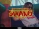 Rowlene, Swang Extensions, Nadia Nakai, mp3, download, datafilehost, fakaza, Afro House 2018, Afro House Mix, Deep House Mix, DJ Mix, Deep House, Afro House Music, House Music, Gqom Beats, Gqom Songs