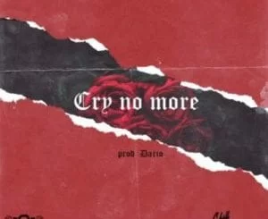 Stilo Magolide, Cry No More, Lyrics, Cry No More Lyrics, mp3, download, datafilehost, toxicwap, fakaza