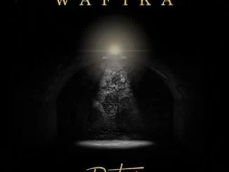 Dr Tumi, Wafika, mp3, download, datafilehost, toxicwap, fakaza, Gospel Song, Gospel, Christian Music, Gospel Music