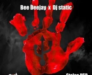 Bee Deejay, DJ Static, Stolen USB, mp3, download, datafilehost, fakaza, Afro House 2018, Afro House Mix, Deep House Mix, DJ Mix, Deep House, Deep House Music, Afro House Music, House Music, Gqom Beats, Gqom Songs