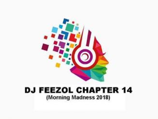 DJ FeezoL, Chapter 14 (Morning Madness 2018), mp3, download, datafilehost, fakaza, DJ Mix