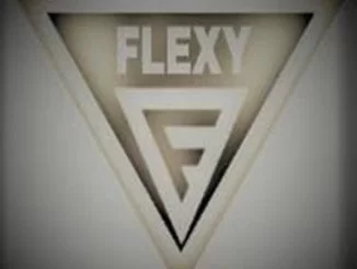 DJ Flexy, Umshudo (Original Mix), mp3, download, datafilehost, fakaza, Afro House 2018, Afro House Mix, Deep House Mix, DJ Mix, Deep House, Deep House Music, Afro House Music, House Music, Gqom Beats, Gqom Songs, Kwaito Songs