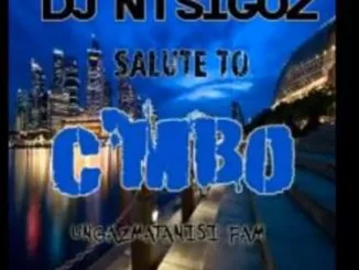 Dj Ntsigoz, Salute C’mbo (Ungazmatanisi Fam), mp3, download, datafilehost, fakaza, Afro House 2018, Afro House Mix, Deep House Mix, DJ Mix, Deep House, Afro House Music, House Music, Gqom Beats, Gqom Songs