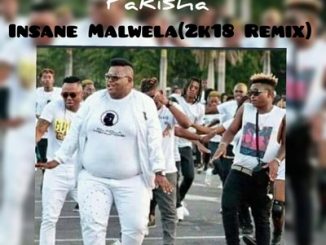Dladla Mshungisi, Pakisha, Insane Malwela 2K18 Remix, Dj Tira, Distruction Boyz, mp3, download, datafilehost, fakaza, Gqom Beats, Gqom Songs, Gqom Music