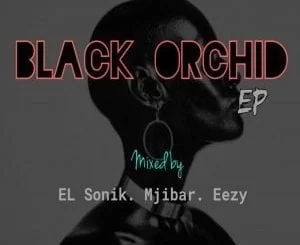 Eazy, El Sonik, Mjibar, Black Orchid-Dark City (Original Mix), mp3, download, datafilehost, fakaza, Afro House 2018, Afro House Mix, Deep House Mix, DJ Mix, Deep House, Deep House Music, Afro House Music, House Music, Gqom Beats, Gqom Songs