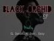 Eazy, El Sonik, Mjibar, Black Orchid-Dark City (Original Mix), mp3, download, datafilehost, fakaza, Afro House 2018, Afro House Mix, Deep House Mix, DJ Mix, Deep House, Deep House Music, Afro House Music, House Music, Gqom Beats, Gqom Songs