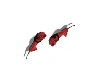 Future, Beastmode 2, download ,zip, mixtapes, fakaza, datafilehost