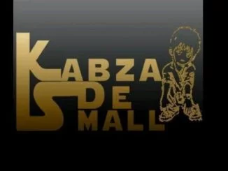 Kabza De Small, Shaya (Original Mix), mp3, download, datafilehost, fakaza, Afro House 2018, Afro House Mix, Deep House Mix, DJ Mix, Deep House, Deep House Music, Afro House Music, House Music, Gqom Beats, Gqom Songs, Kwaito Songs