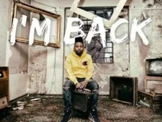 L-Tido, I’m Back, Phoenix, mp3, download, datafilehost, toxicwap, fakaza