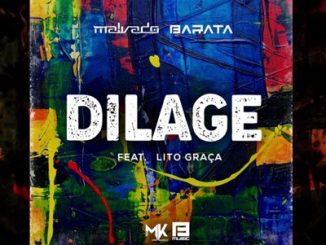 Malvado, Barata, Dilage, Lito Graça, mp3, download, datafilehost, fakaza, Afro House 2018, Afro House Mix, Afro House Music