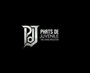 Phats De Juvenile, Traveller (Remix), mp3, download, datafilehost, fakaza, Afro House 2018, Afro House Mix, Deep House Mix, DJ Mix, Deep House, Deep House Music, Afro House Music, House Music, Gqom Beats, Gqom Songs