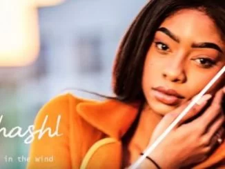 Shashl, Blow It In The Wind, mp3, download, datafilehost, toxicwap, fakaza