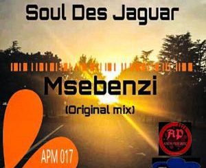 Soul Des Jaguar, Msebenzi (Original Mix), mp3, download, datafilehost, fakaza, Soulful House Mix, Soulful House, Soulful House Music, House Music