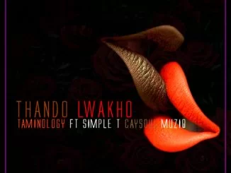 Taminology, Thando Lwakho, Caysoul Muziq, Simple T, mp3, download, datafilehost, toxicwap, fakaza