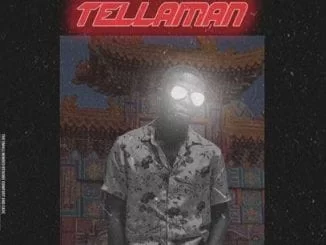 Tellaman, Crew Lit, mp3, download, datafilehost, toxicwap, fakaza