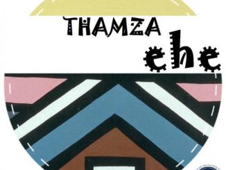 Thamza, ehe (Original Mix), mp3, download, datafilehost, fakaza, Afro House 2018, Afro House Mix, Afro House Music