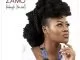 Zamo , Inhlanyelo (The Seed), download ,zip, zippyshare, fakaza, EP, datafilehost, album