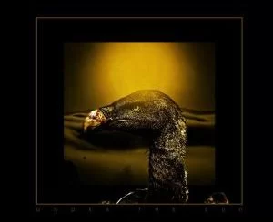 Angie Santana, The Fraternity, Blaklez, Pdot O, Under the Sun, download ,zip, zippyshare, fakaza, EP, datafilehost, album