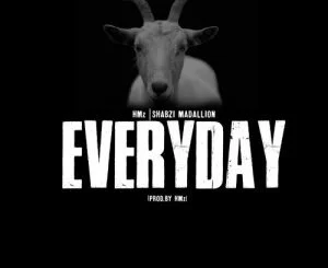 HMz, Everyday, ShabZi Madallion, mp3, download, datafilehost, toxicwap, fakaza