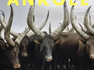 Lemon & Herb, Ankole, mp3, download, datafilehost, fakaza, Afro House 2018, Afro House Mix, Afro House Music