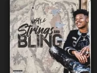 Nasty C, Strings & Bling, download ,zip, zippyshare, fakaza, EP, datafilehost, album
