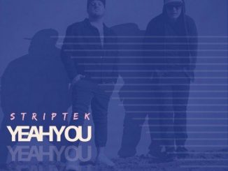 Striptek, Yeah You (Original Mix), mp3, download, datafilehost, toxicwap, fakaza